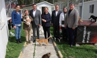 Mehmet Dönmez’den HBB Kedi Bakım ve Rehabilitasyon Merkezi’ne Ziyaret